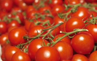 Italian tomatoes