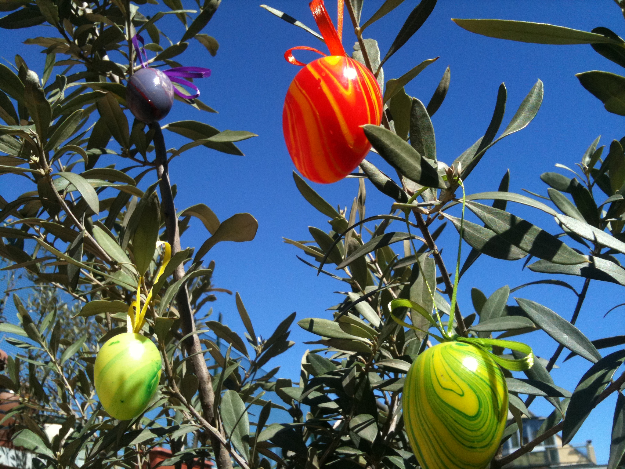 Italian Easter greetings, Olive Tree Italian food & wine